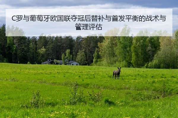 luo-yu-pu-tao-ya-ou-guo-lian-duo-guan-hou-ti-bu-yu-shou-fa-ping-heng-de-zhan-shu-yu-guan-li-ping-gu-1-539.jpg