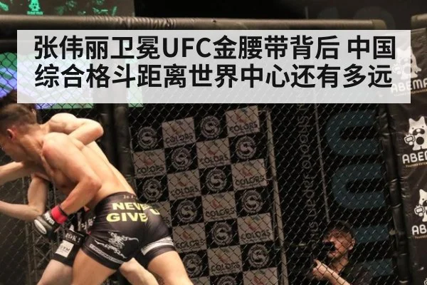张伟丽卫冕UFC金腰带背后 中国综合格斗距离世界中心还有多远