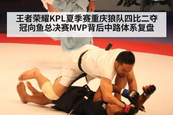 王者荣耀KPL夏季赛重庆狼队四比二夺冠向鱼总决赛MVP背后中路体系复盘